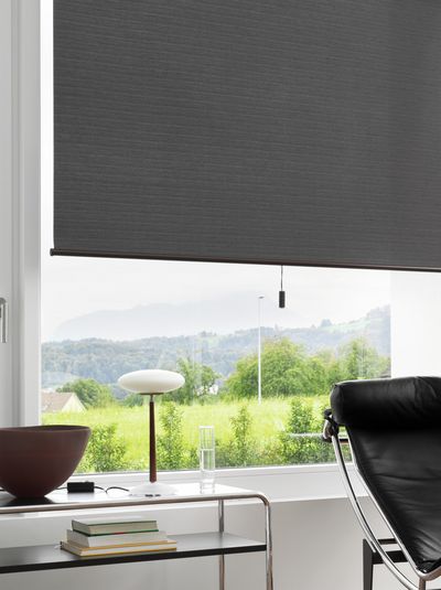 Roller Blind Systems, Room shot "Private Residence", Emmenbrücke, Switzerland
