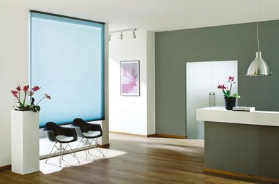 Pleated Blind Systems, SG 8500, DUETTE® Classic, 20027, AO10